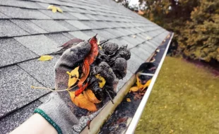 gutter cleaning