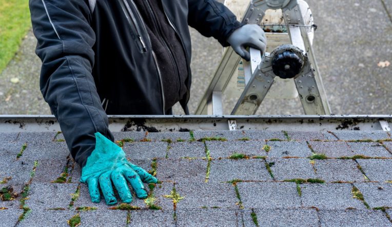The-Hidden-Benefits-of-Roof-Moss-Removal-You-Need-to-Know